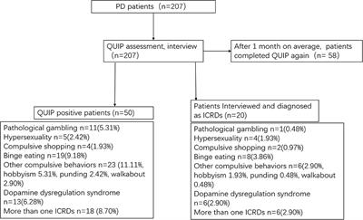 Validation of the Chinese Version of the Questionnaire for Impulsive-Compulsive Disorders in Parkinson's Disease